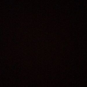 Meet your Posher, Bella-ann